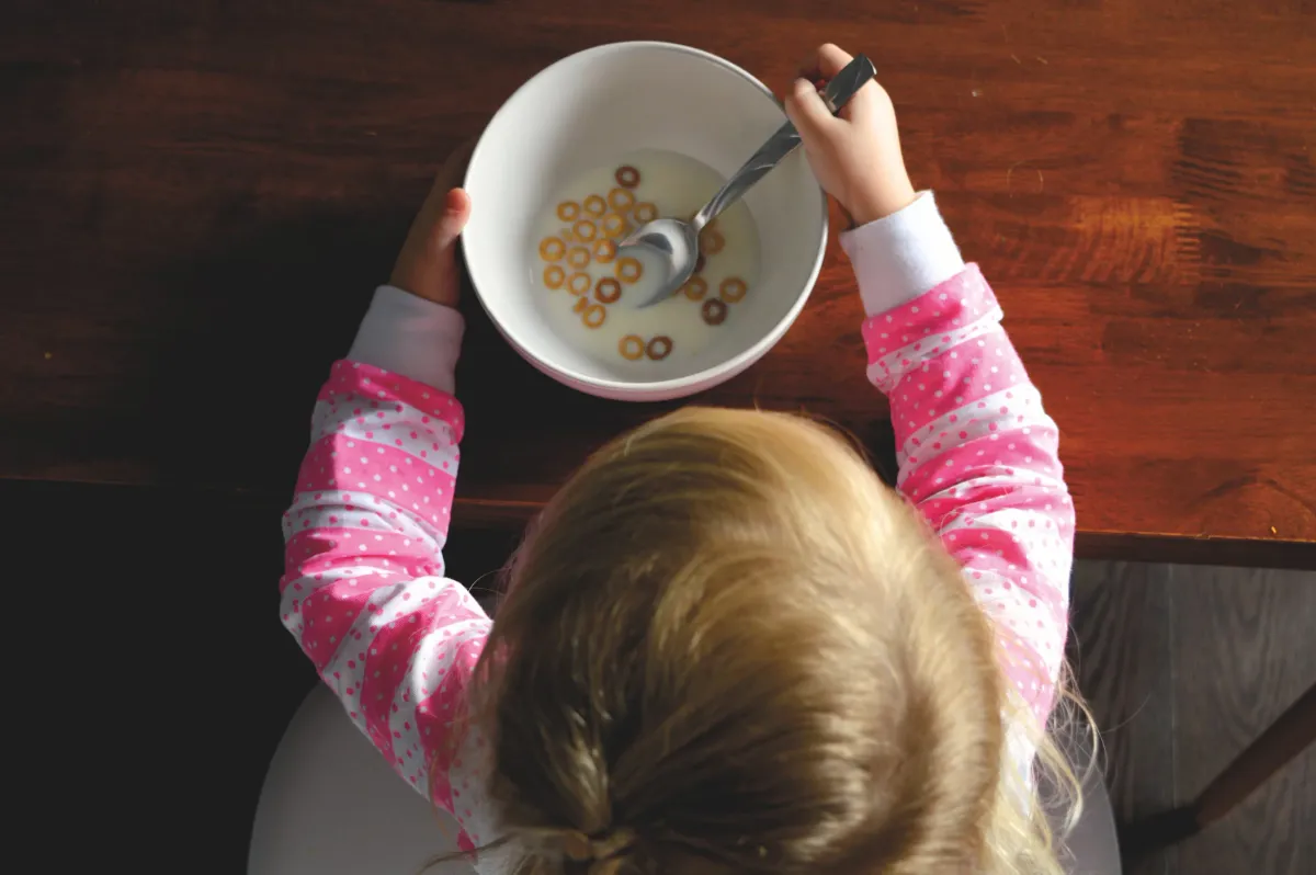 Spices and Herbs to Toddlers